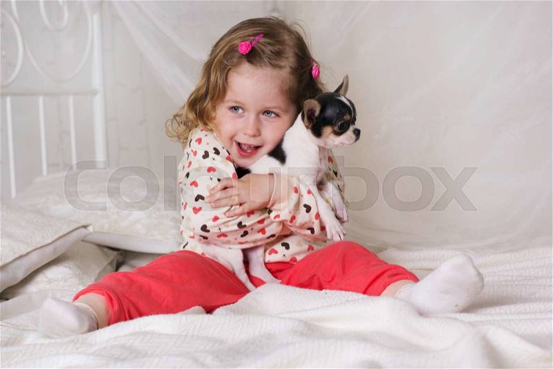 Pretty child girl is sitting on bed with her friend chihuahua dog at home, stock photo