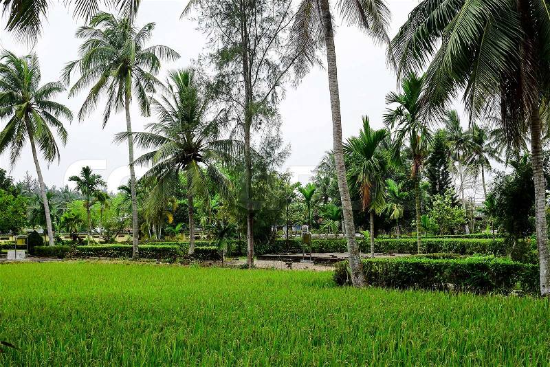 Son My, Vietnam - March 23, 2016: The My Lai Massacre memorial site. The My Lai massacre was the Vietnam War mass killing of between 347 and 504 unarmed civilians in South Vietnam on March 16, 1968.;, stock photo