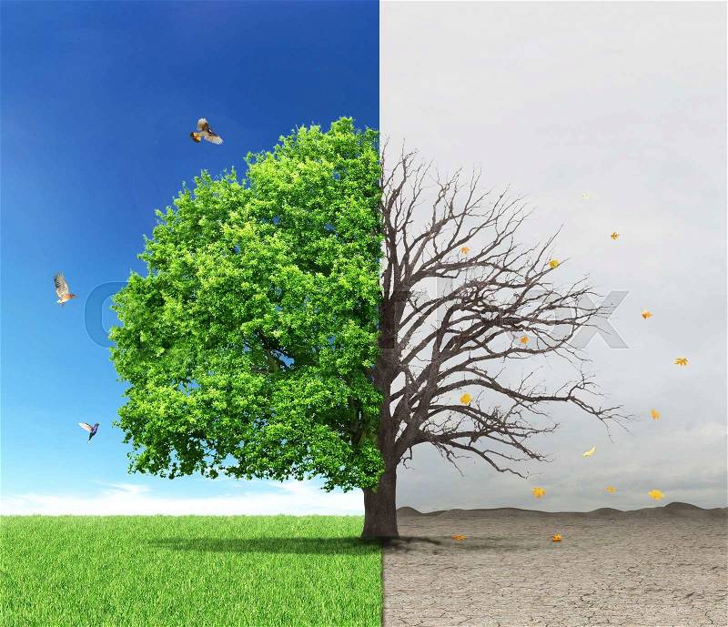 The concept of life and death. Dead and live tree at different backgrounds, stock photo