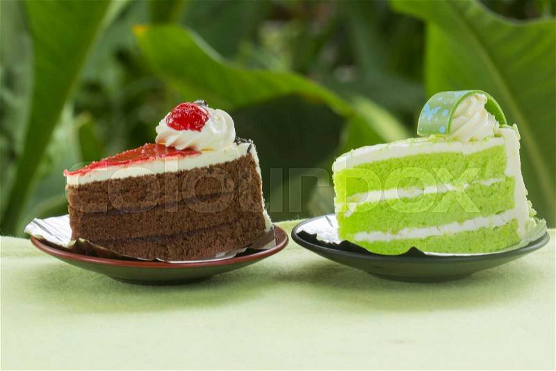 Chocolate cake with strawberry jam and Pandan cake on garden background, stock photo