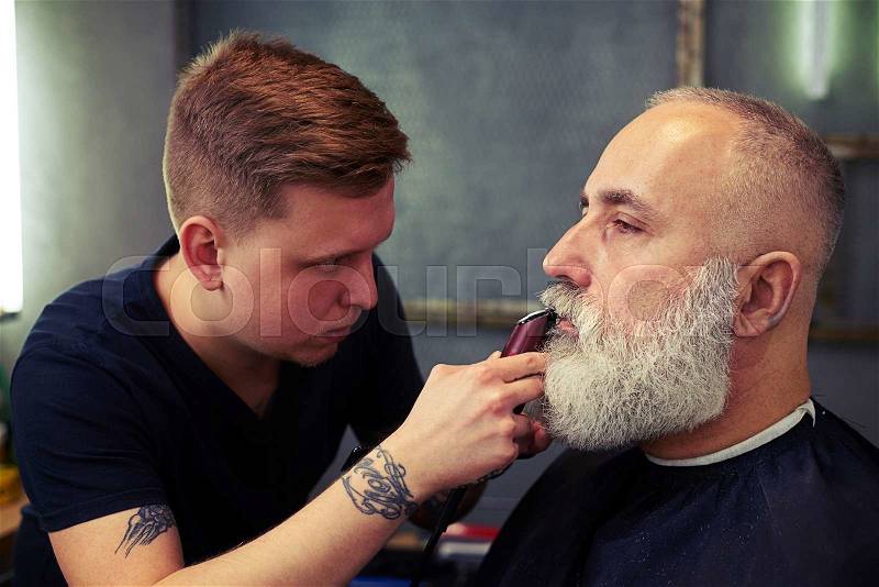 Young barber with tattoo shaving beard of his client with hair clipper in hair salon, stock photo