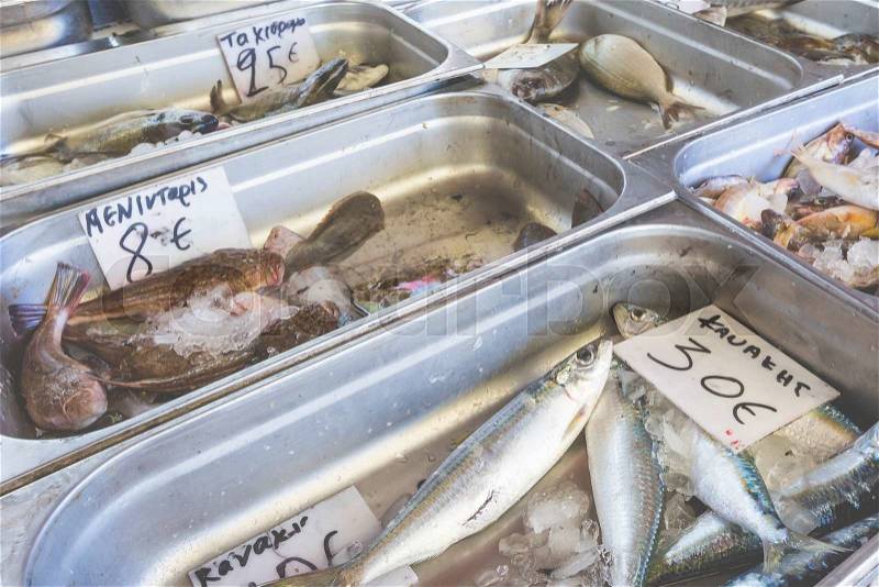 Fresh fish in the fish market - Greece , stock photo