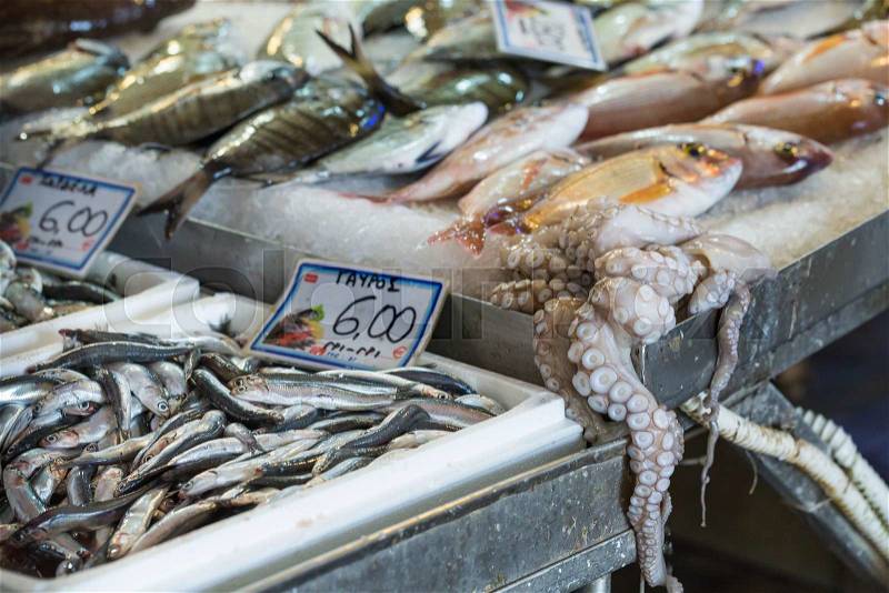 Fresh fish in the fish market - Greece , stock photo