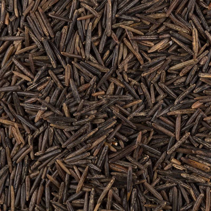 Background of black wild rice - close up image, stock photo