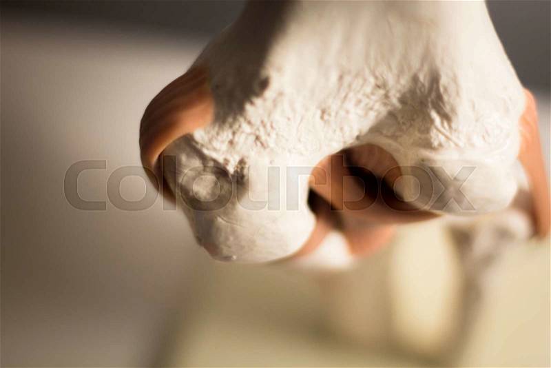 Shoulder joint plastic teaching model for taumatology and orthopedics showing bones, tendons and back, stock photo
