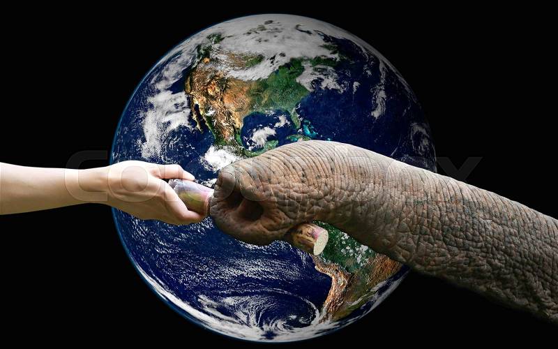 Hand feeding food to elephant with the earth ,including elements furnished by NASA, stock photo