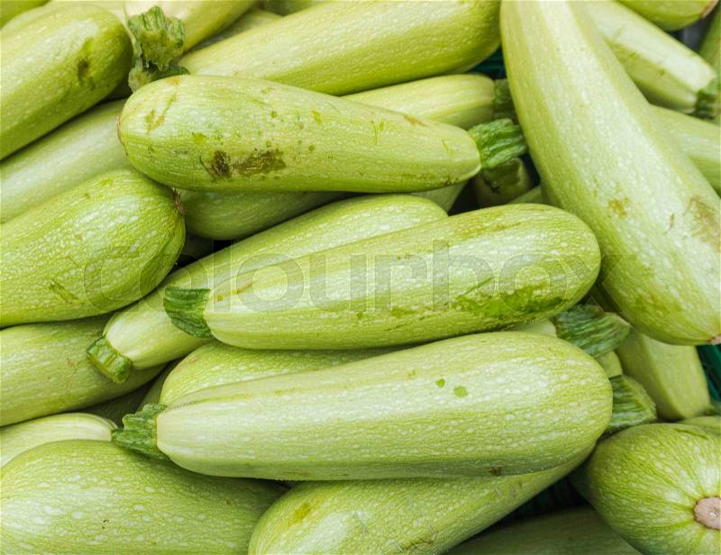 Zucchini at the market. Fresh green zucchini, stock photo