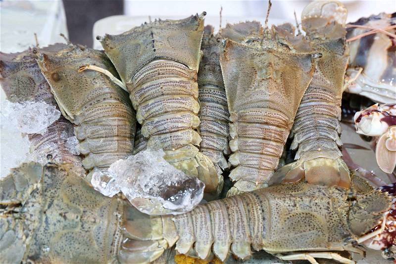 Raw mantis shrimp in market, seafood, stock photo