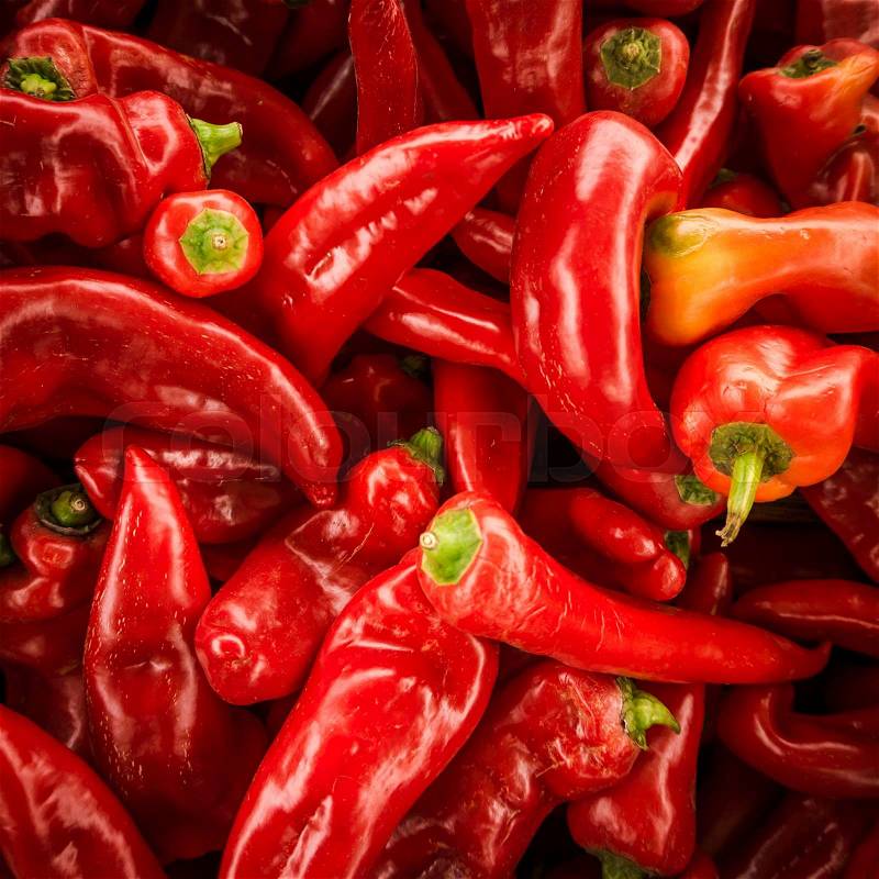 Red chili pepper background. many red peppers, stock photo
