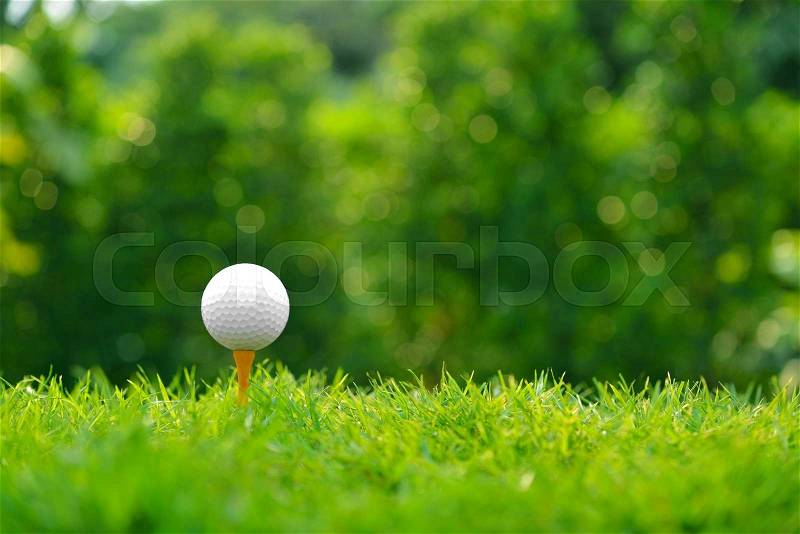 Golf ball on green grass with golf course background, stock photo