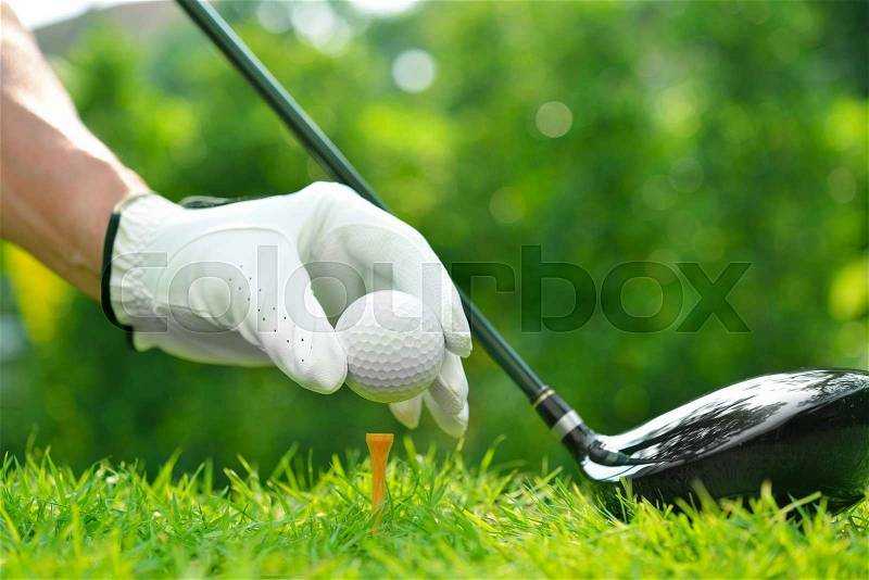 Golfer\'s hand holding golf ball with driver on green grass with golf course background, stock photo