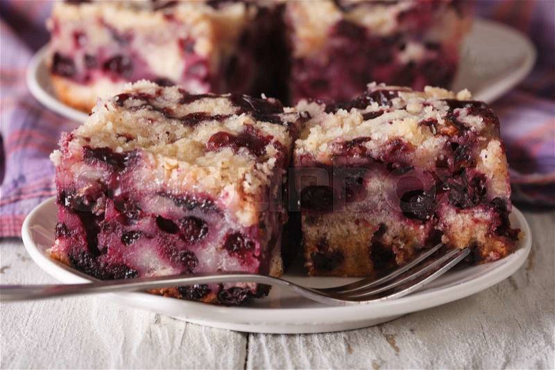 Sponge cake with blueberries close-up on a plate on the table. horizontal , stock photo