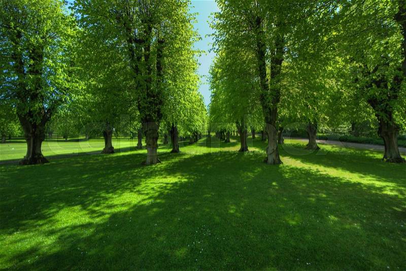 Stock image of \'guard, lawn, denmark\'