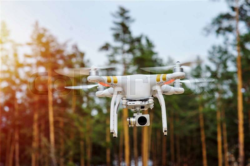 Drone flying on a background of forest trees, stock photo