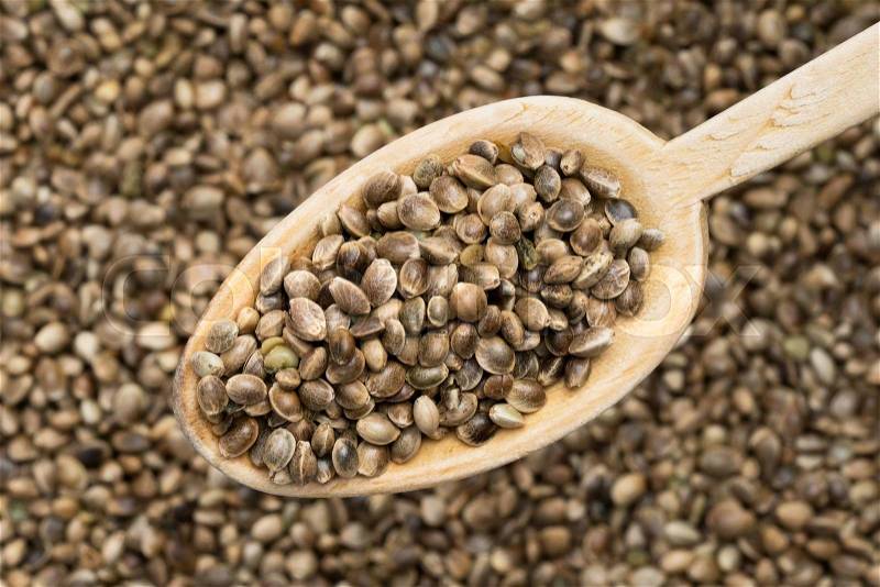 Wooden spoon with hemp seeds seen from above over a hemp seed background, stock photo