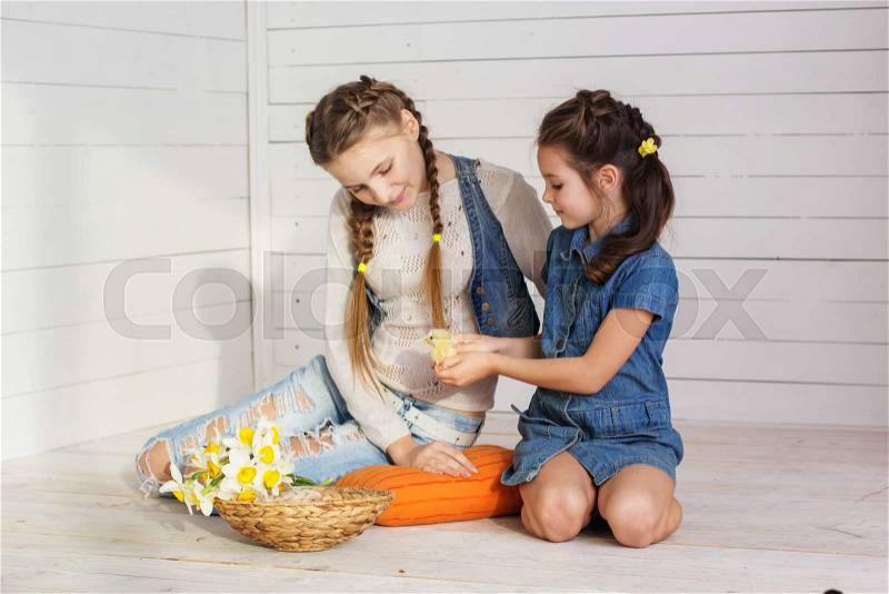 Smiling two cute girls sisters are holding chickens in studio, stock photo