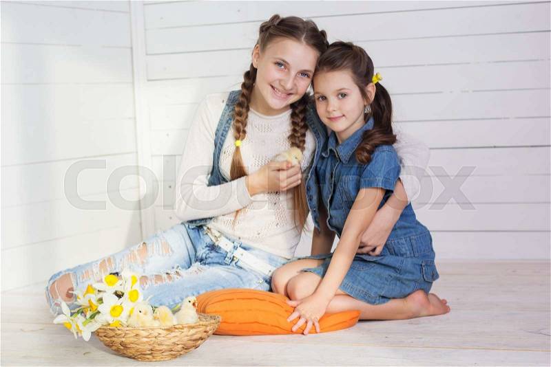 Smiling two cute girls sisters are holding yellow small chickens in studio, spring time, stock photo