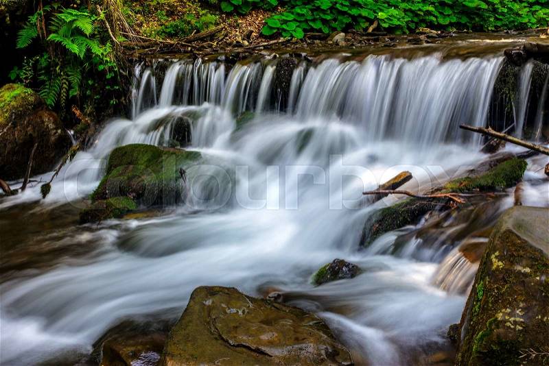 Forest stream runs along the ferns, water splashes on the rocks near the cascade, stock photo