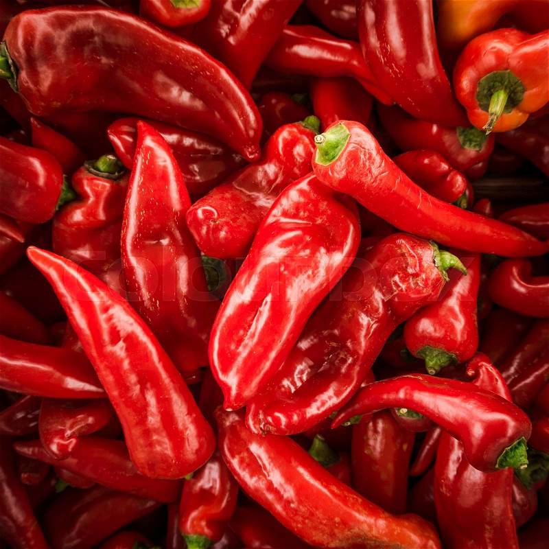 Red chili pepper background. many red peppers, stock photo
