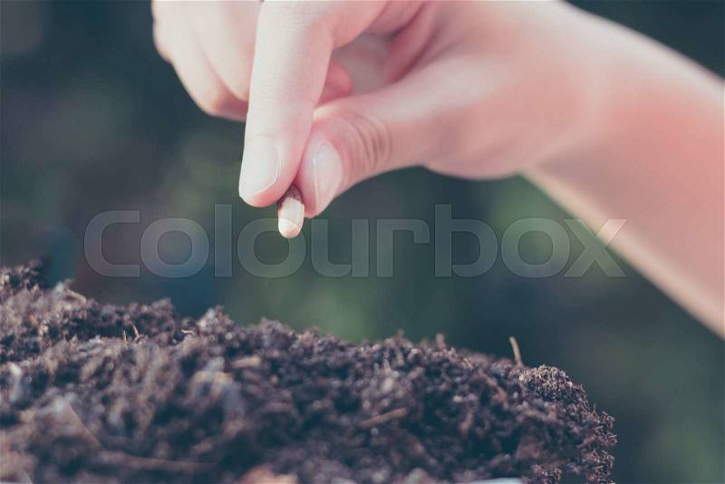 Child hand seeding for planting over green environment background , stock photo