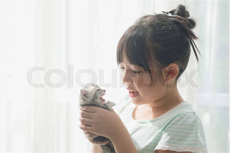 Beautiful asian girl playing with american shorthair cat under sunlight from a window, stock photo