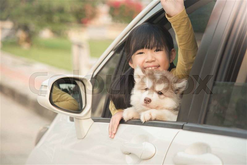 Happy asian asian girl and siberian husky puppy sitting in the car, stock photo
