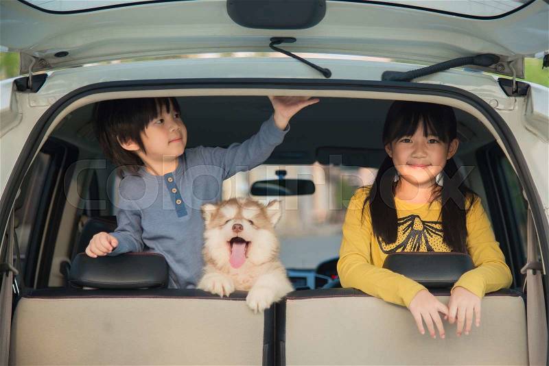 Happy asian children and siberian husky puppy sitting in the car, stock photo