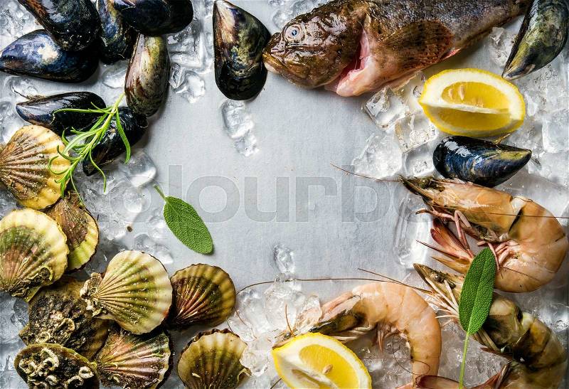 Fresh seafood with herbs and lemon on ice. Prawns, fish, mussels, scallops over steel metal background. Top view, copy space, stock photo