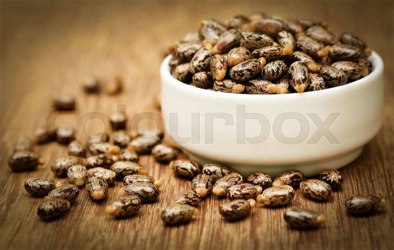 Castor beans in a ceramic bowl on wooden surface, stock photo