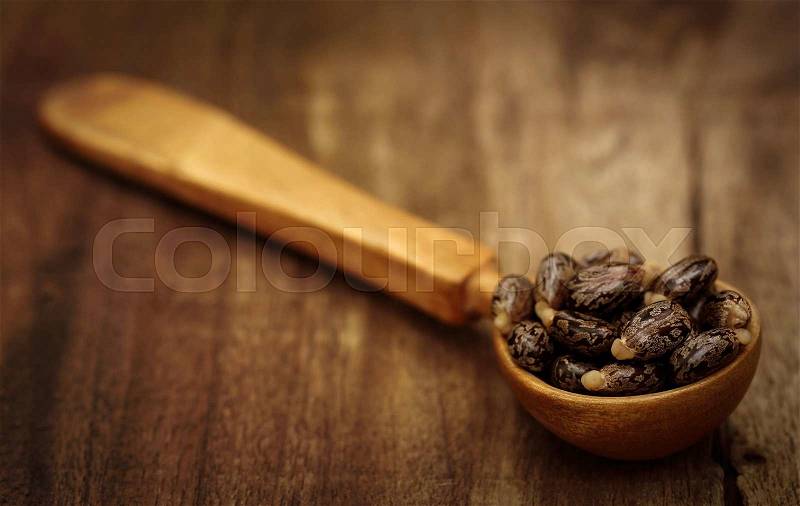Castor beans in a wooden spoon, stock photo