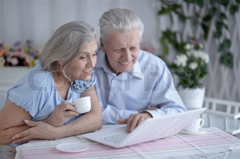 Happy senior couple with laptop at home, stock photo