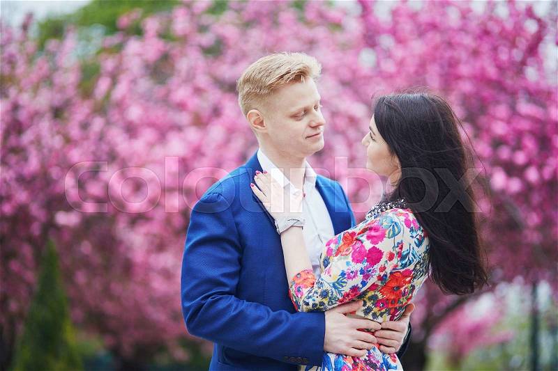 Romantic couple having a date in Paris on a spring day with beautiful cherry blossoms in the background, stock photo
