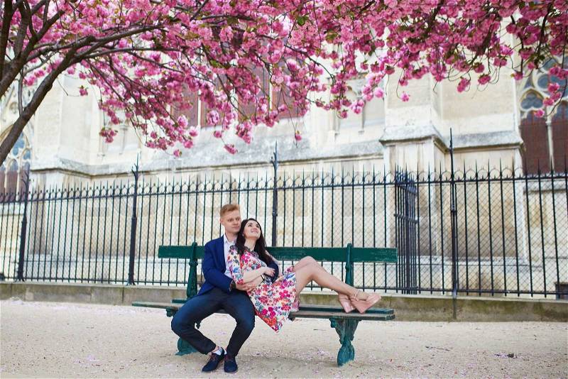 Romantic couple having a date in Paris near Notre-Dame de Paris on a spring day with beautiful cherry blossoms in the background, stock photo