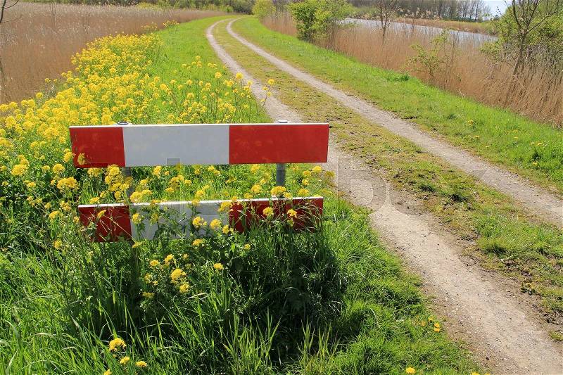 Walking path, a guidepost and blooming coleseed on the side of the counrty road at the countryside in wonderful spring, stock photo