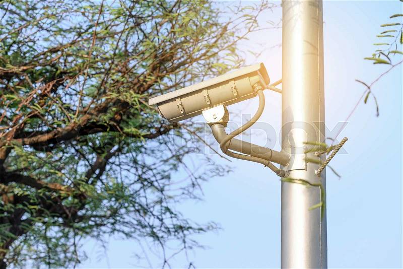 Security camera for monitoring events in urban garden. , stock photo