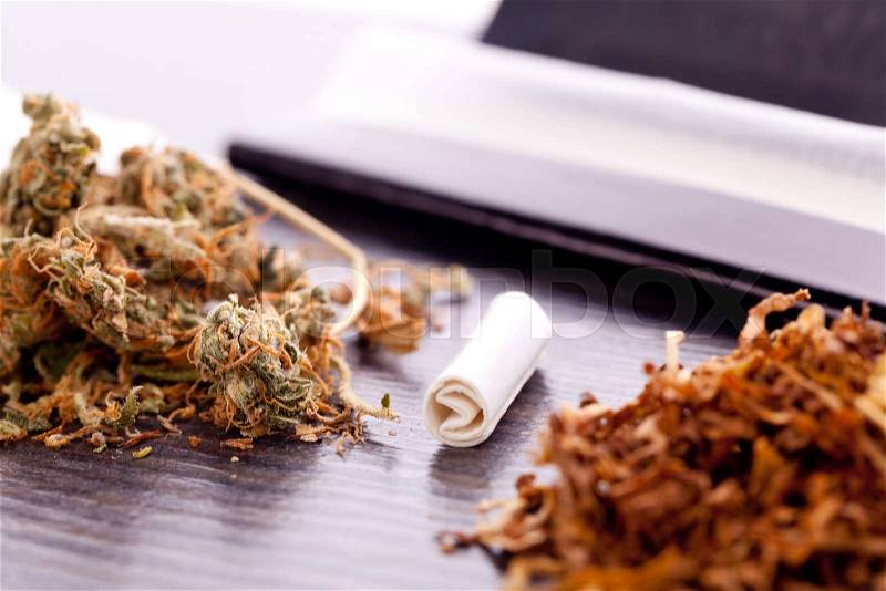 Close up Dried Cannabis Leaves on a Resealable Cellophane Wrapper and a Rolling Paper with Filter on Top of the Table, stock photo