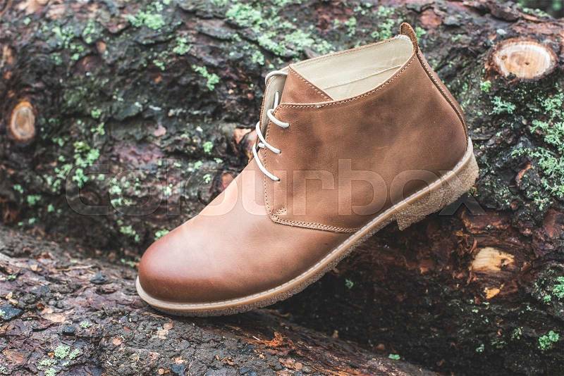 Mens leather casual shoes on wood in the forest, stock photo