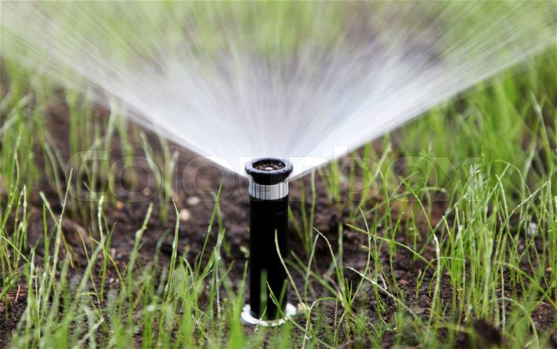 Sprinkler of automatic watering, stock photo