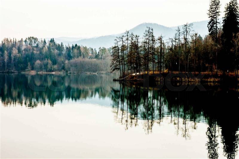 Dark green lake shore with forest and reflection in surface, stock photo