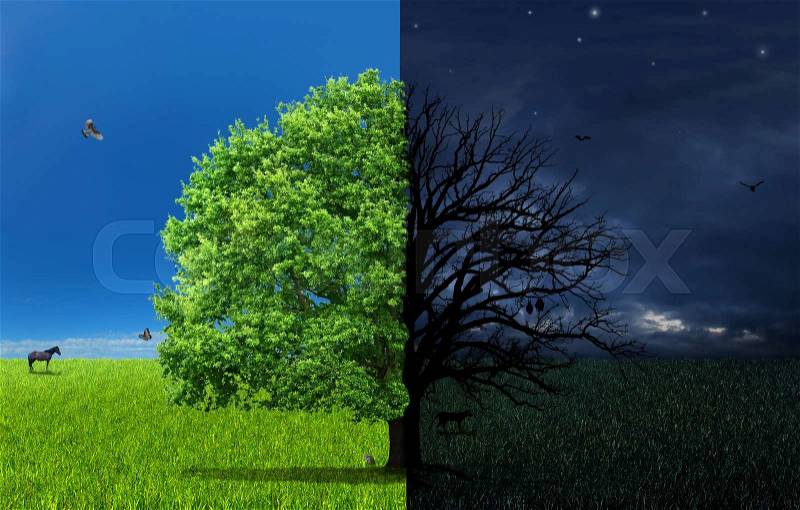 The concept of doubleness. Day and night of different side with doubleness tree in center, stock photo
