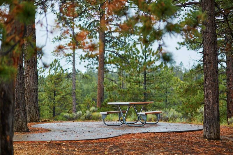 Picnic area with tables and benches in Bryce canyon national park, Utah, USA, stock photo