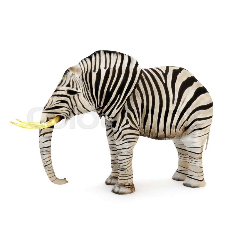 Different, Elephant with zebra stripes on a white background, stock photo