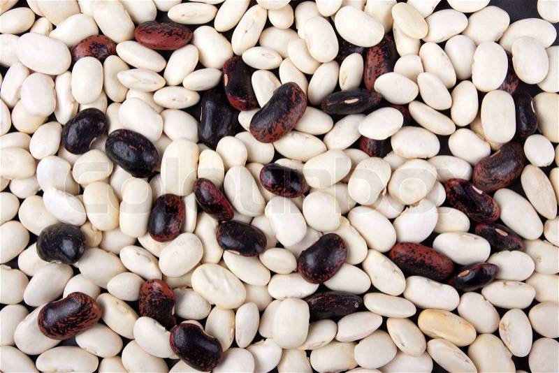 White and brown beans background, stock photo
