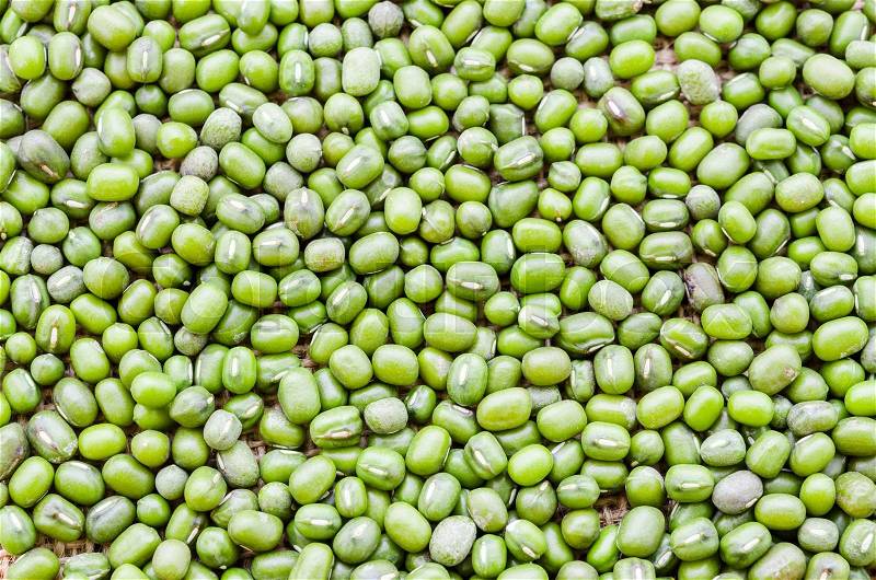 Green bean or mung bean background as background, stock photo