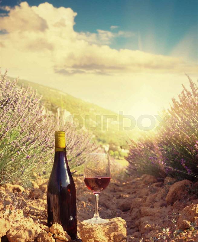 Bottle of wine against lavender landscape, stock photo