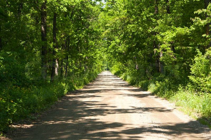 The road to the park in spring, stock photo