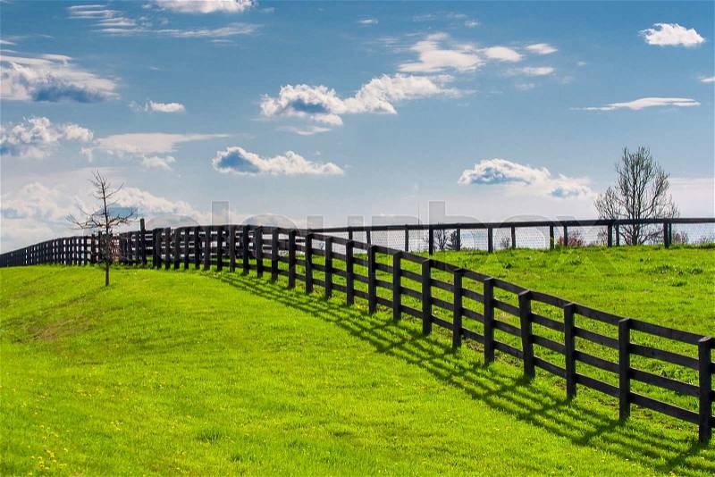 Green pastures of horse farms. Countryside spring landscape, stock photo