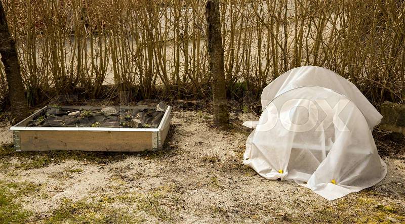 Two raised, elevated garden beds early spring. One is covered with white quilt cloth for protection. The other one with strawberry plants is without cover, stock photo