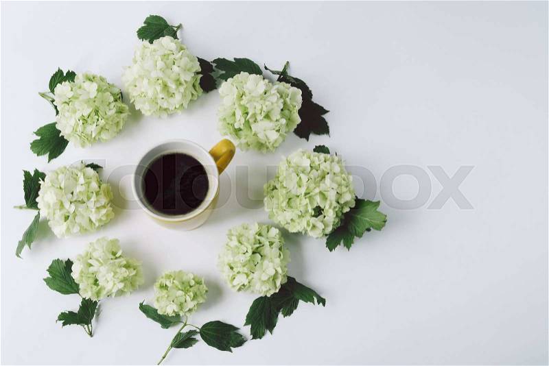 Green flowers with leaves in the form of a circle lying around the yellow Cup with coffee on white background, top view, stock photo