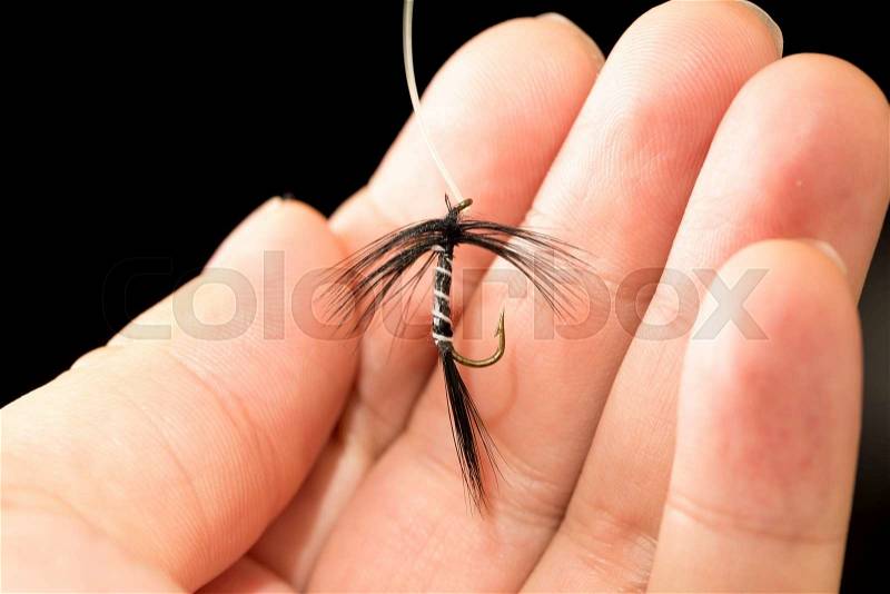 Fly to catch fish in a hand on a black background, stock photo